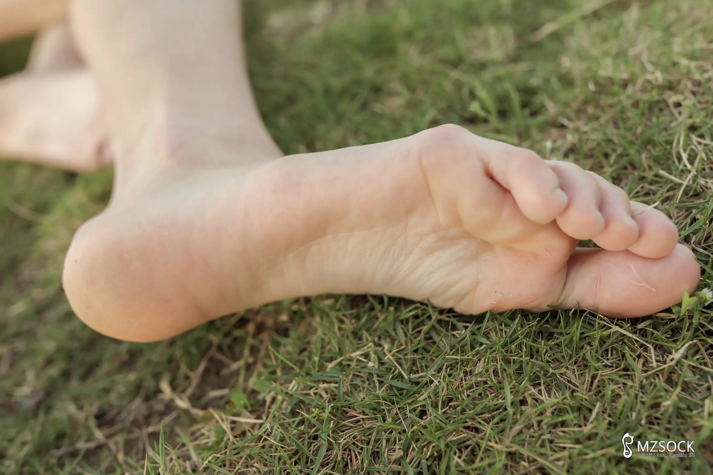 [Mzsock] Love Beauty Foot NO.106 cocoa#[74P]-5