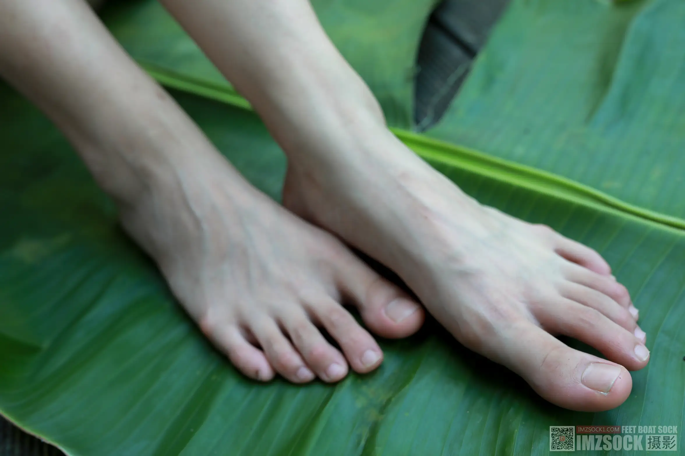 [Mzsock] Love Beauty Foot NO.119 cocoa#[74P]-3
