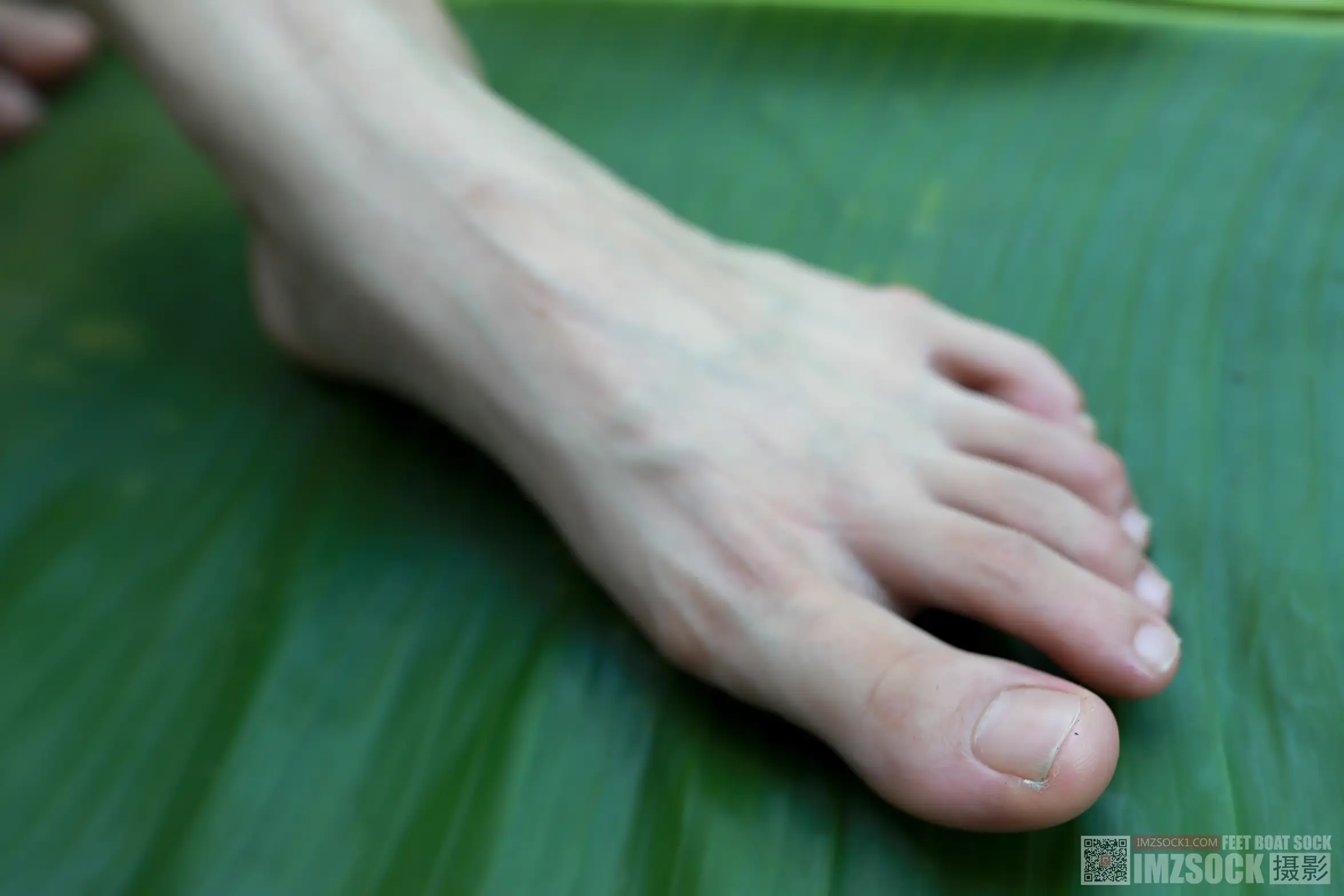 [Mzsock] Love Beauty Foot NO.119 cocoa#[74P]-4